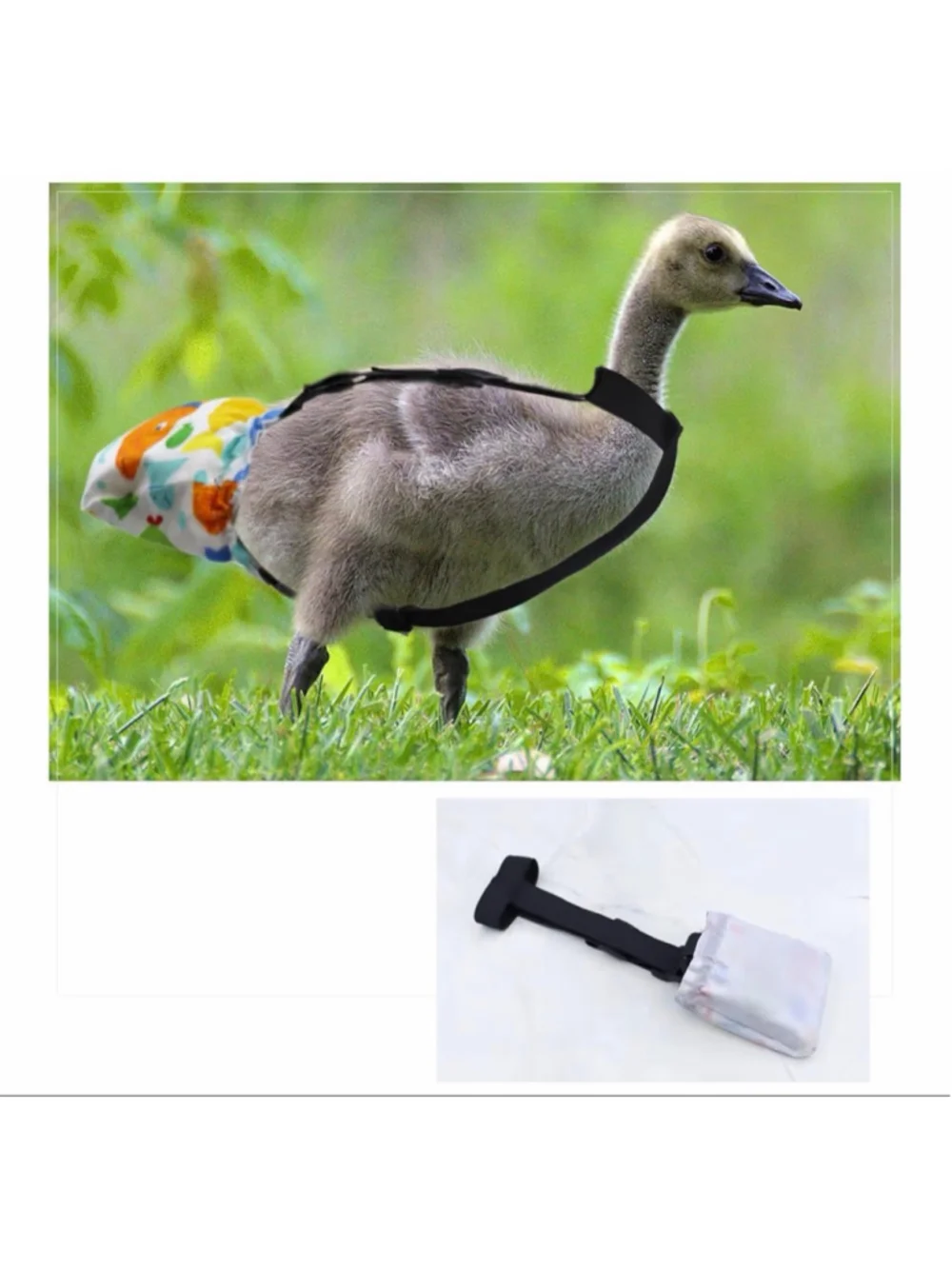 NEW Duckling Diapers for Pet Ducks 1 to 2 lbs, 3 Weeks to 4 Weeks Bab